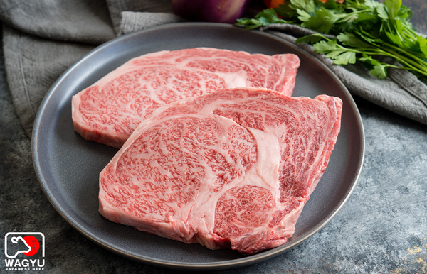 A5 Japanese Wagyu Beef Ribeye Steaks | Authentic Japanese Wagyu Beef | The Wagyu Shop