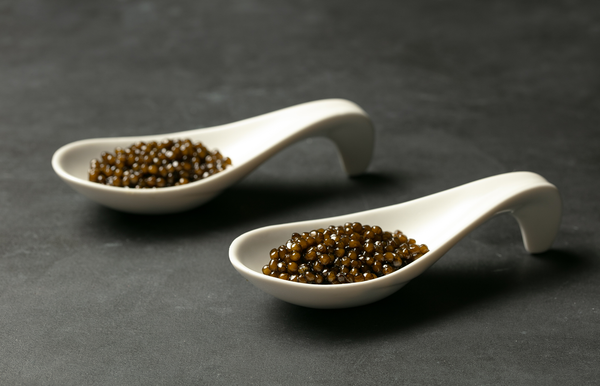 Kaluga Osetra Caviar