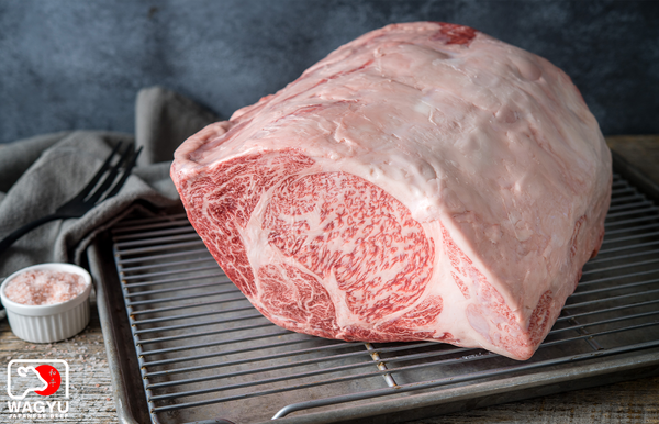 A5 Japanese Wagyu Beef Ribeye Roast | Authentic Japanese Wagyu Beef | The Wagyu Shop